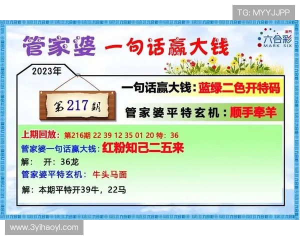 探索澳门彩网子的魅力与玩法,尽享博彩乐趣